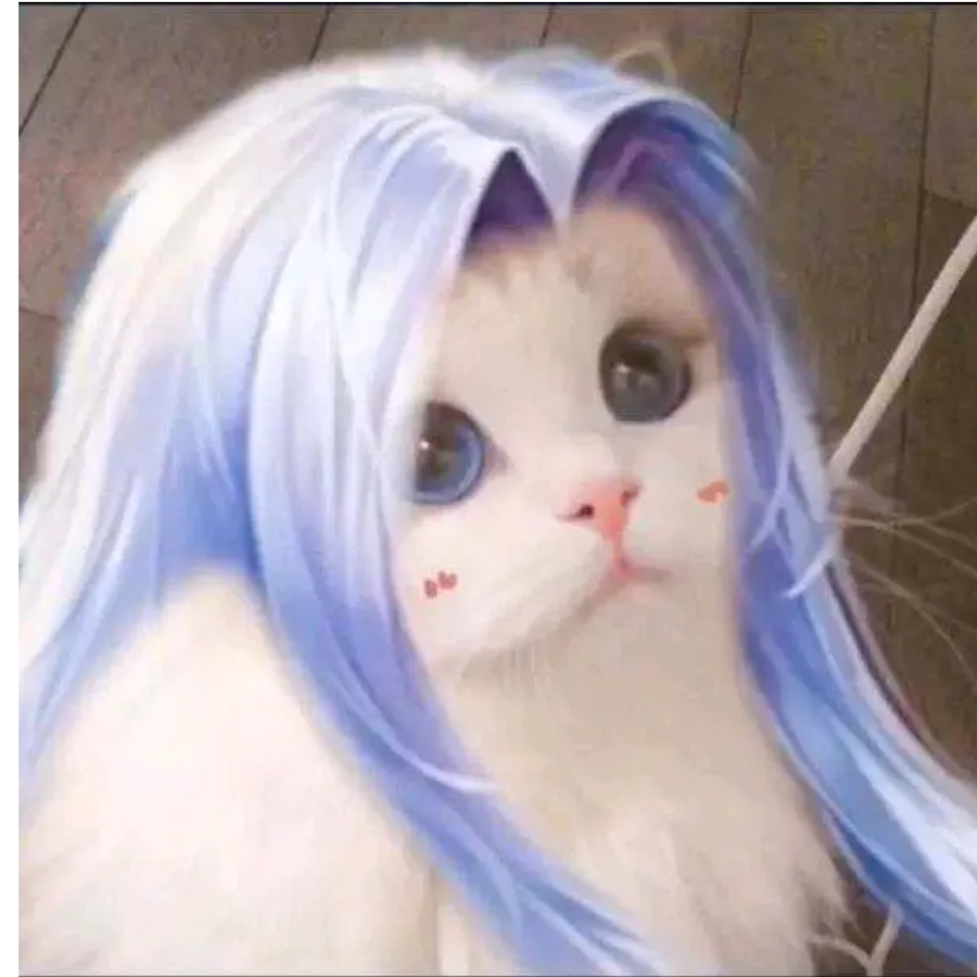 沐云兮