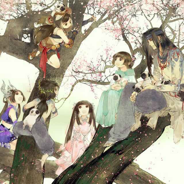 赵喵
