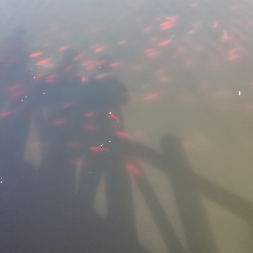 嗯哼