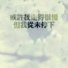 我只会给你最好的理由¤