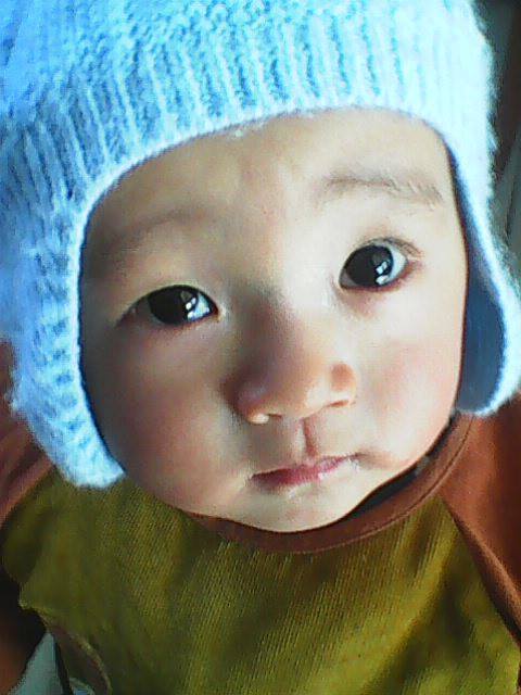 Shun Zhang