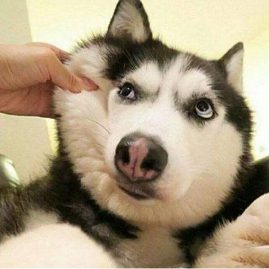 讴歌秋