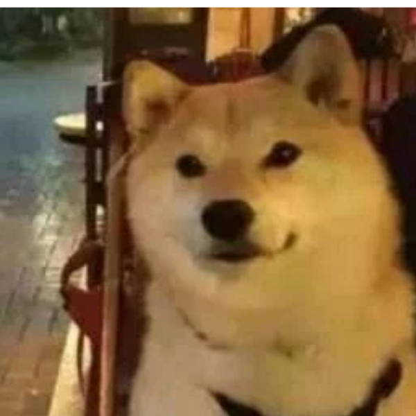 阳