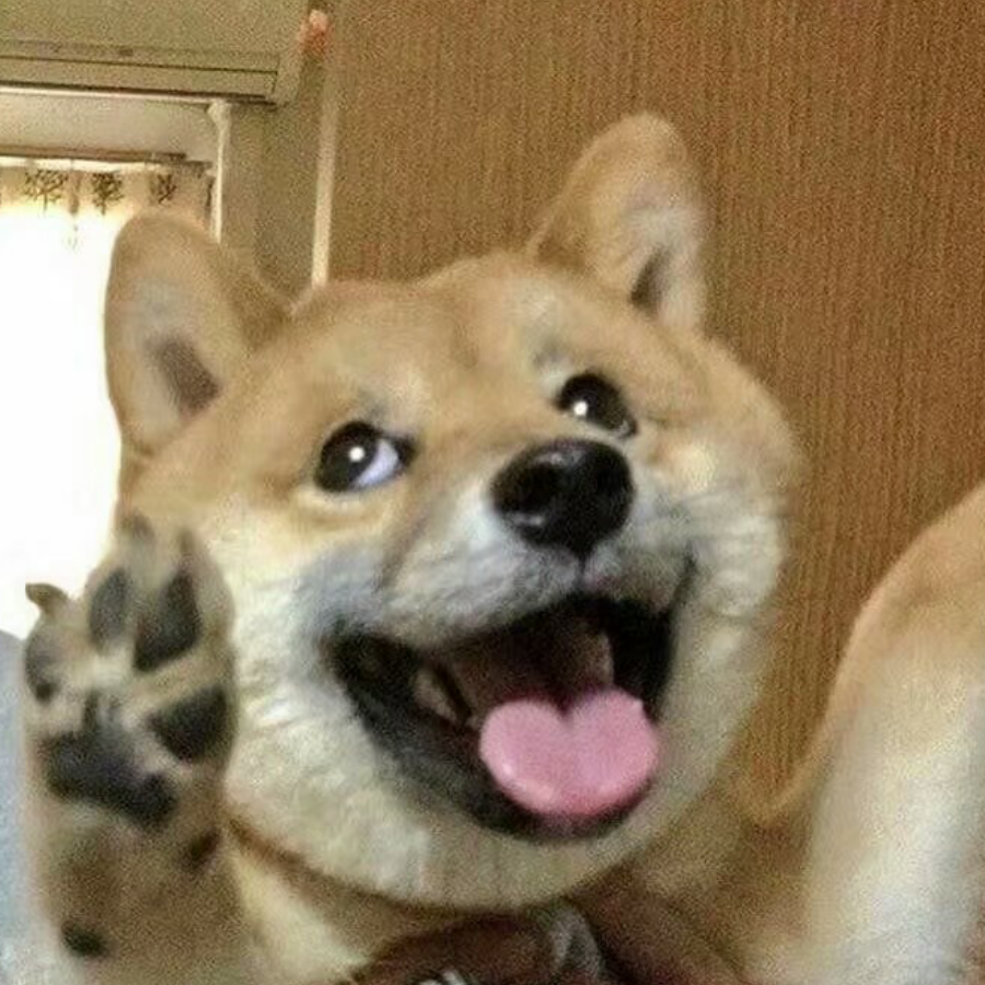 论