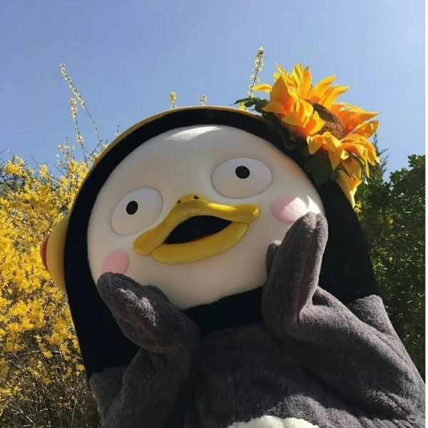 肥宅终结者