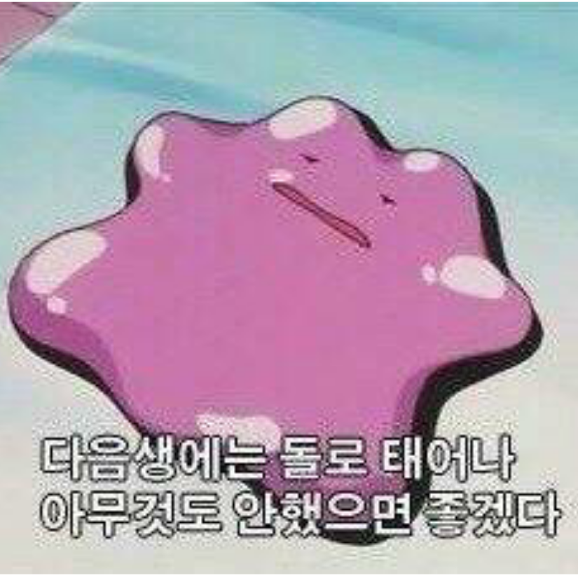 纸壳子困