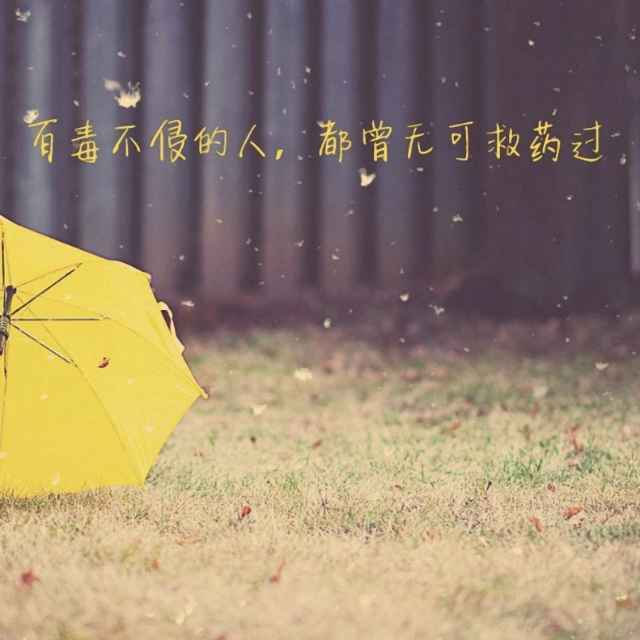 独舞青春