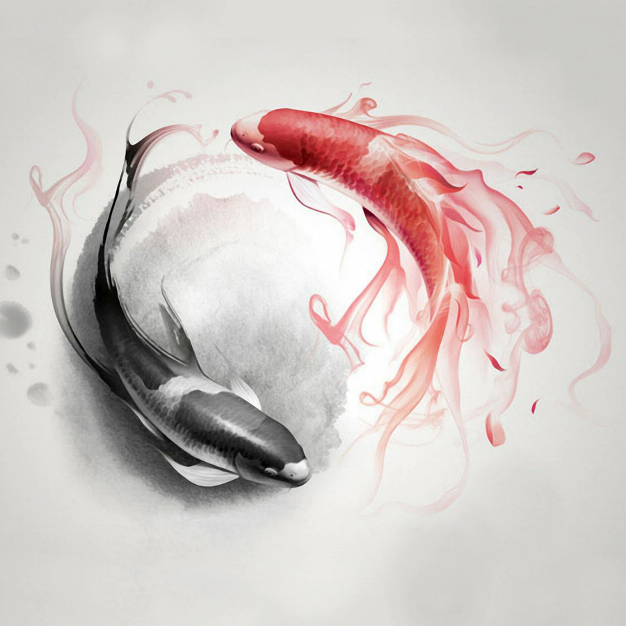 无忧红尘