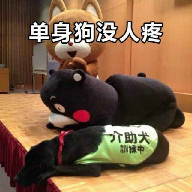 HI，LSH！