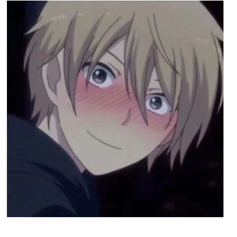 宠
