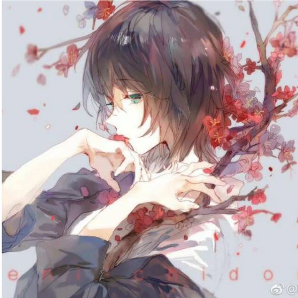 鸽子