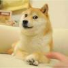 Don_永恒