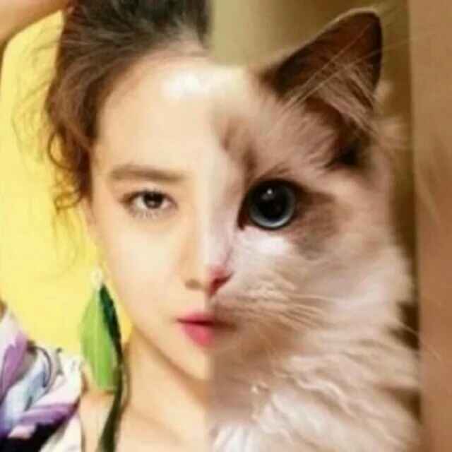 安妮 就是帅到爆