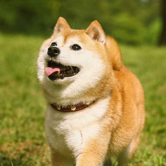 配角