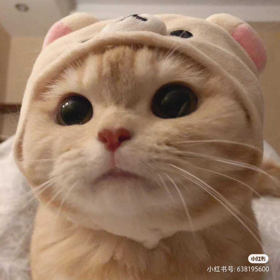 白鹿青崖
