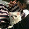 kinghole蒽