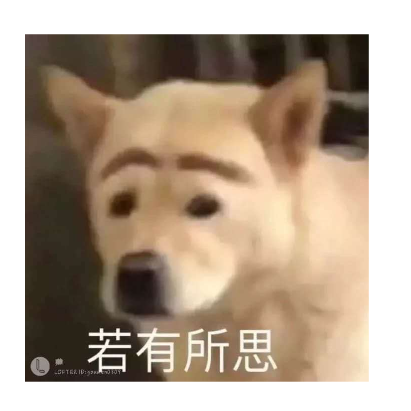 骑猪去旅行
