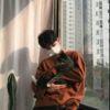青山难相见