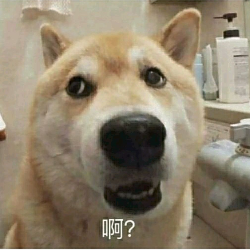 酋长竟是我自己