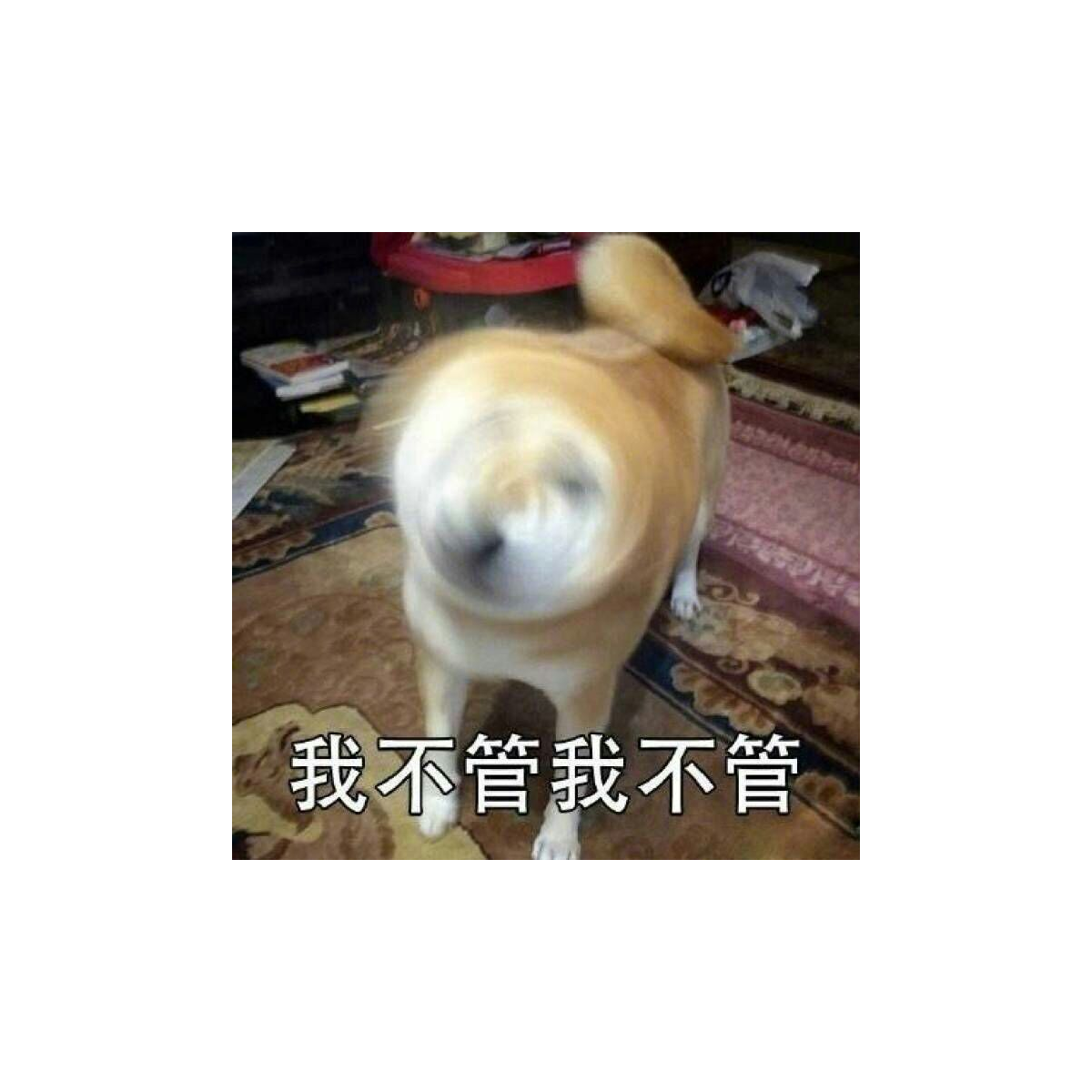 气不气