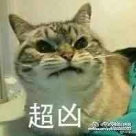 阿信