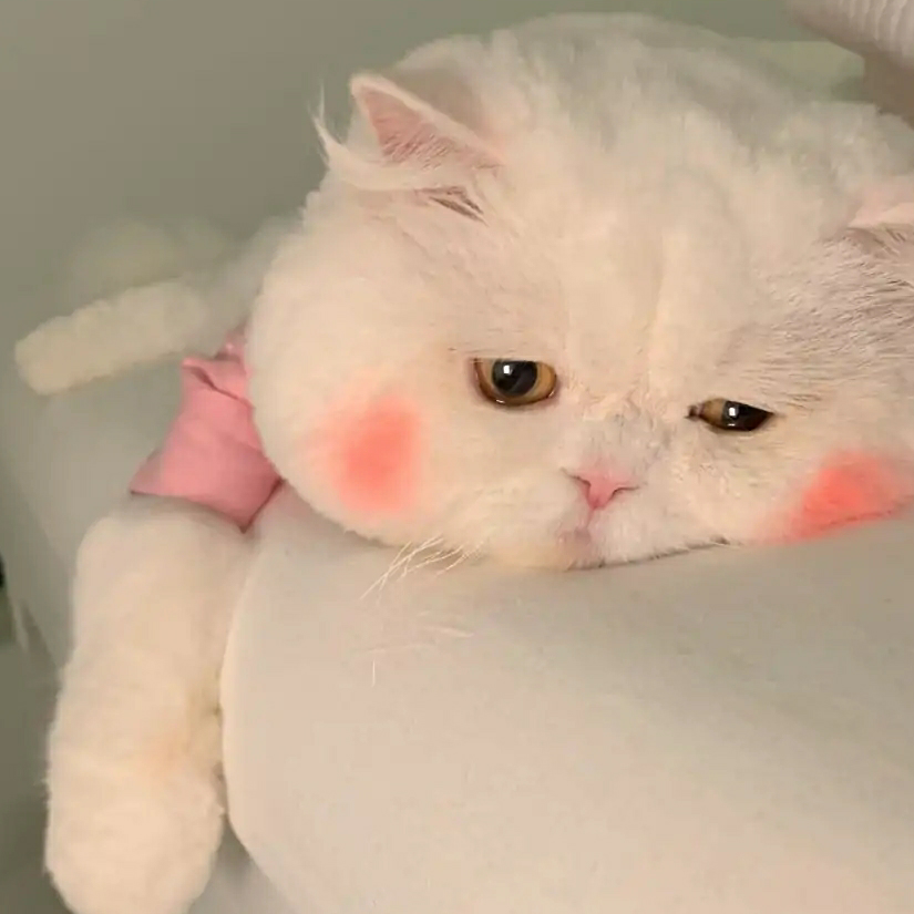 暖宝宝宝