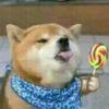 。。。。。