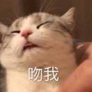 水晶蓝孩