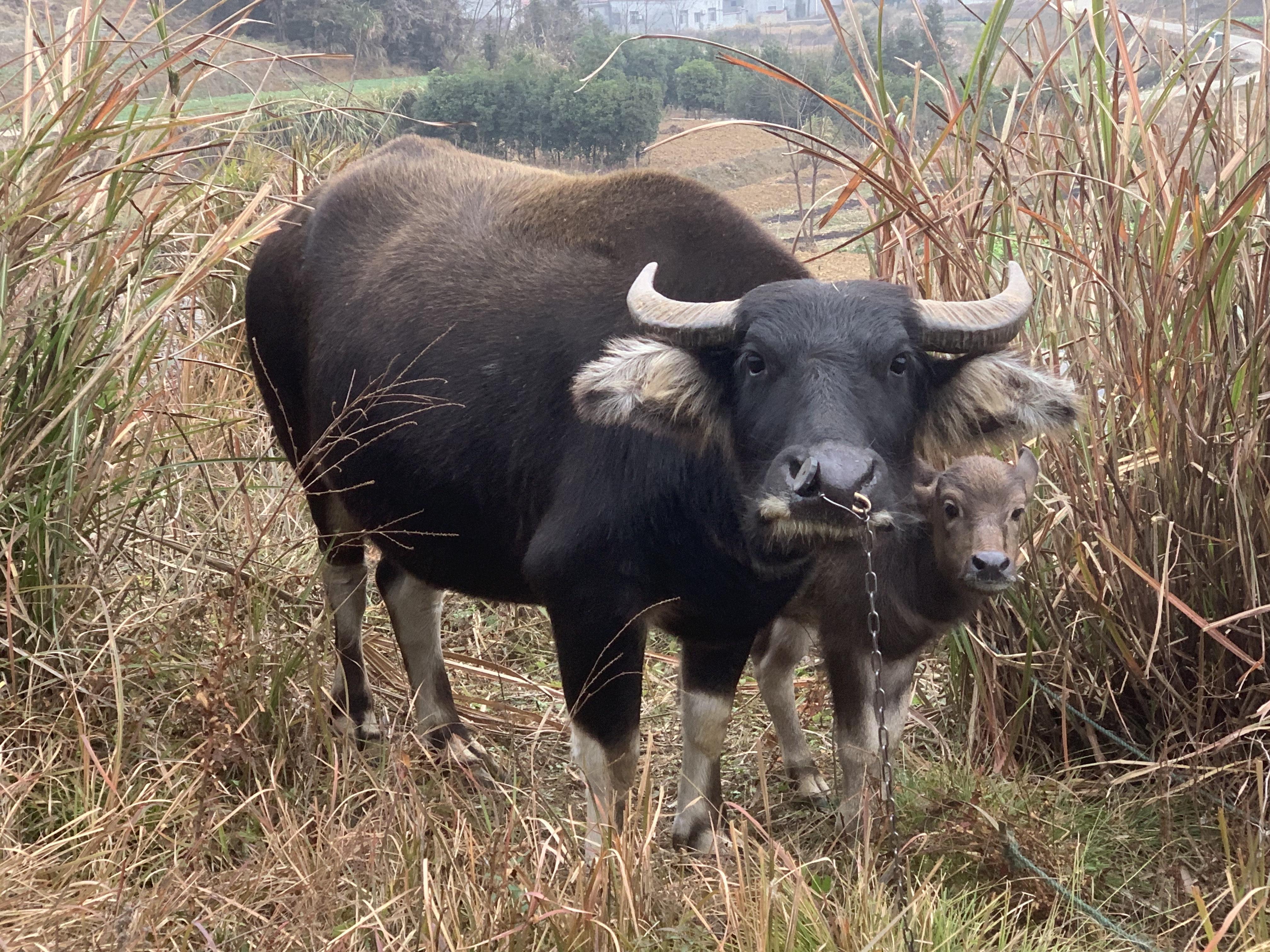 手机用户55267247