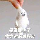 咕咕咕咕～