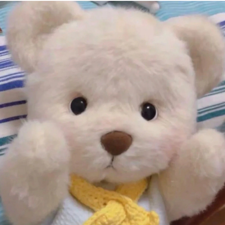 宝藏猎人克莱尔