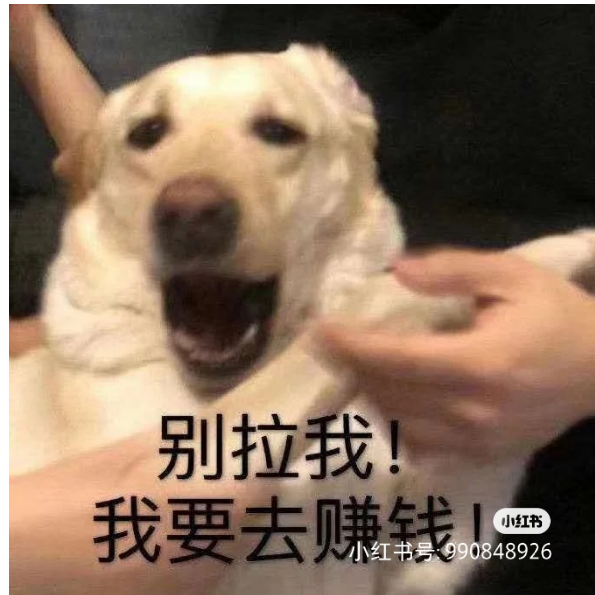 叨叨