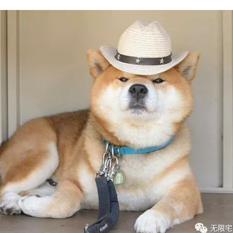 葉落§無聲