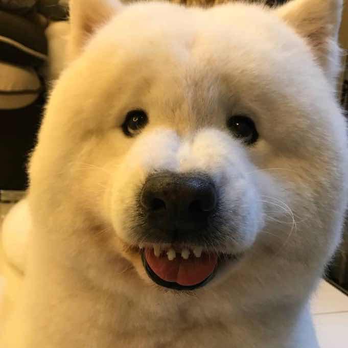 闰土