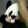 时间
