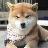 缘浅又何须勉强﹌