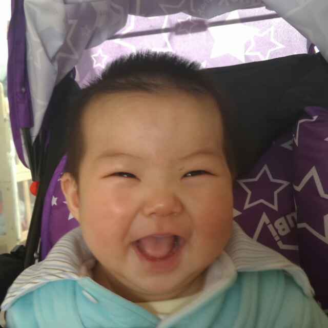 大概也许