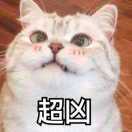 大牛胖！！！