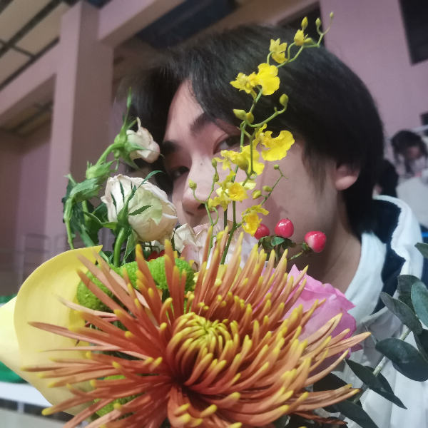 新辞
