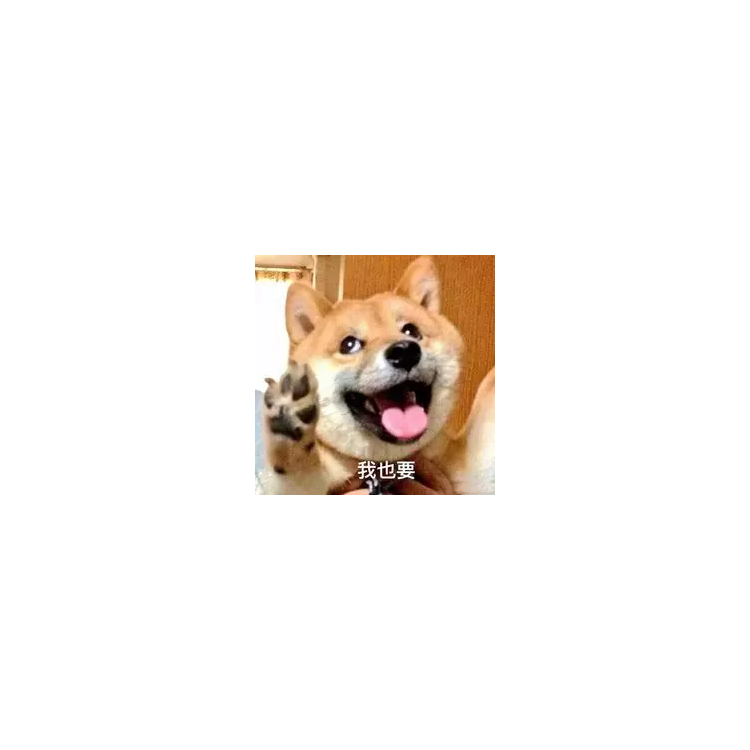 金色小狗
