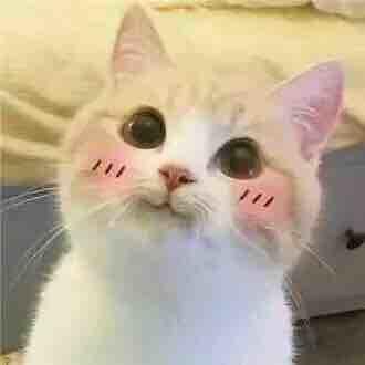 碎月