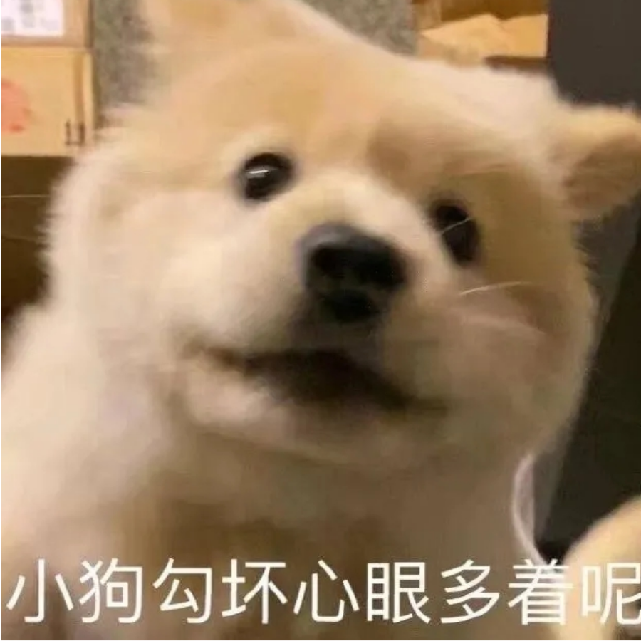 余生请多指教