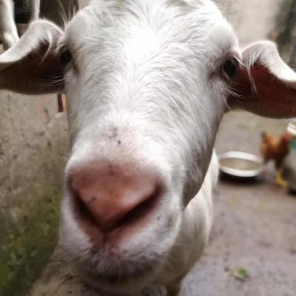 🎲🈲菓  杍  㴝™📶🆘