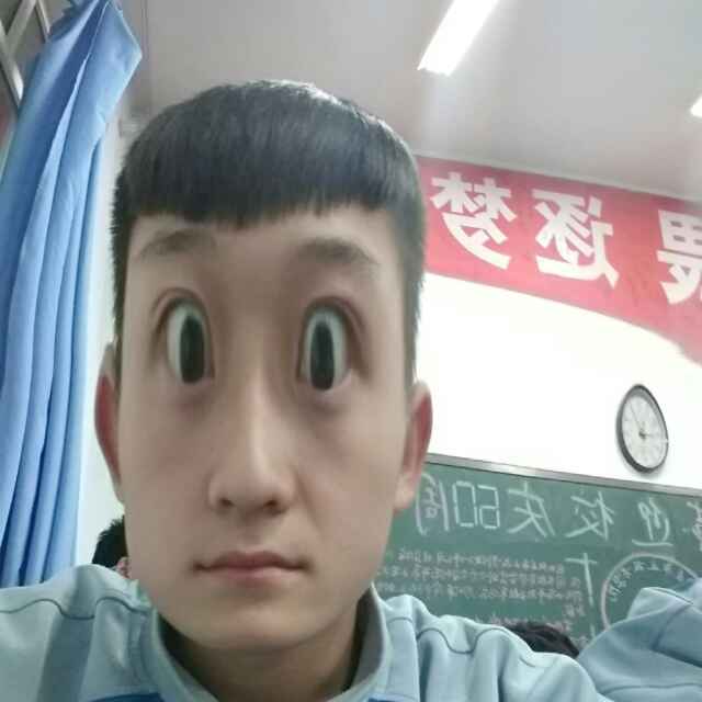 朴
