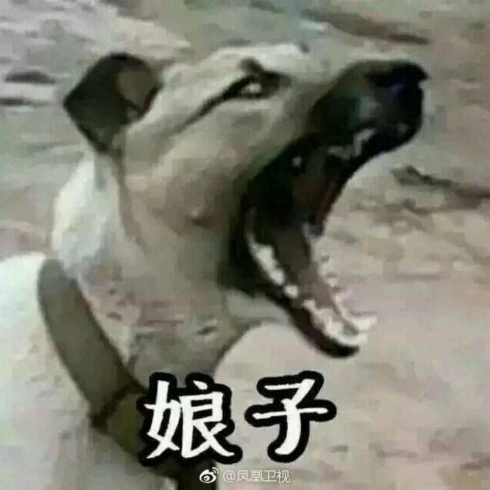 deity May Cry