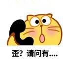 噗噗的蛋黄猫