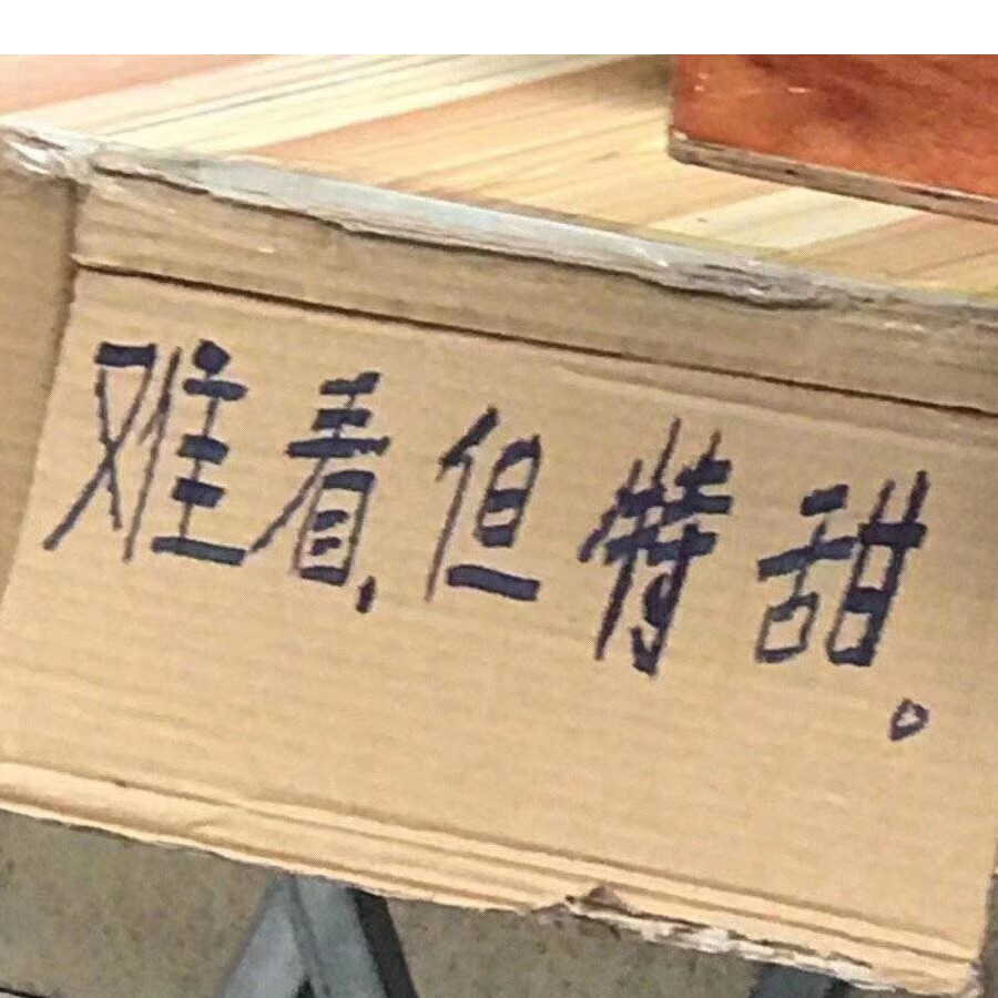 曾家少夫人