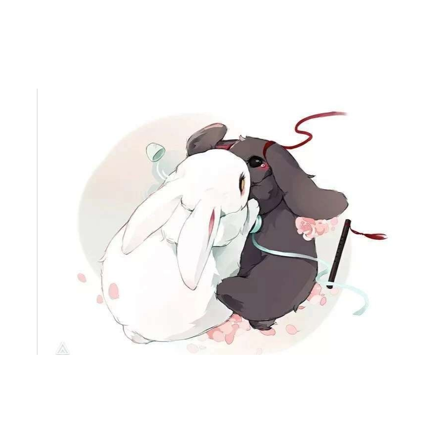 龙