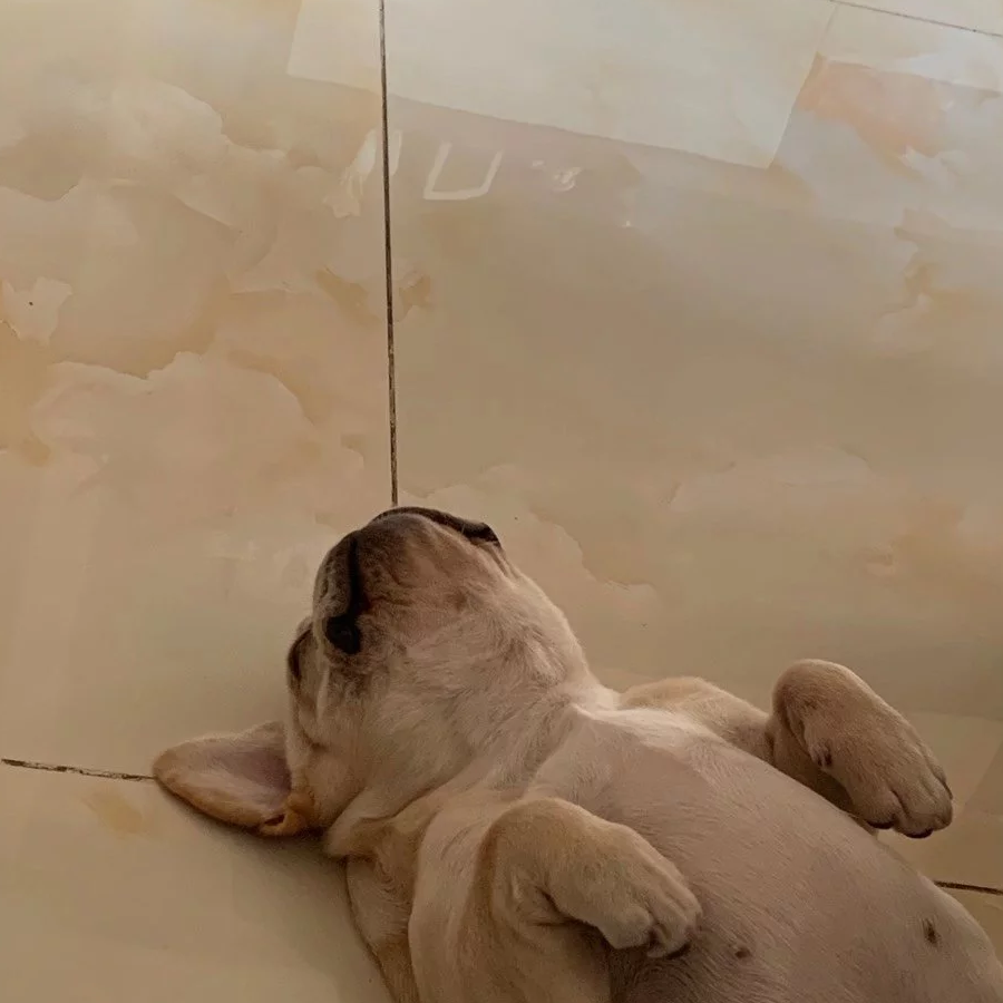 小林还不错