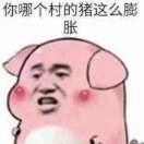 向少🔥